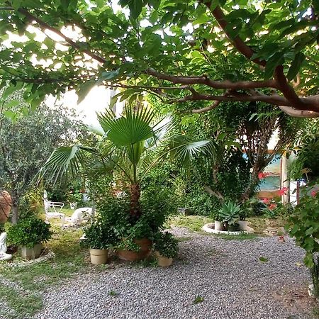 Casa Con Jardin Frente Playa De Burriana Villa Стая снимка