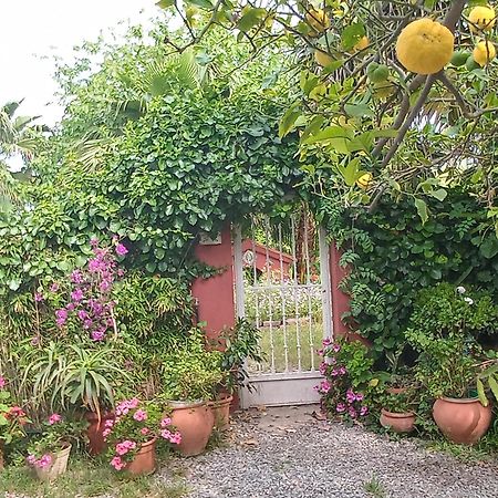 Casa Con Jardin Frente Playa De Burriana Villa Стая снимка