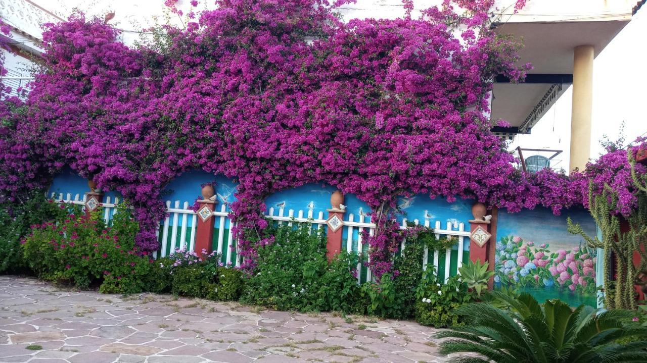 Casa Con Jardin Frente Playa De Burriana Villa Екстериор снимка