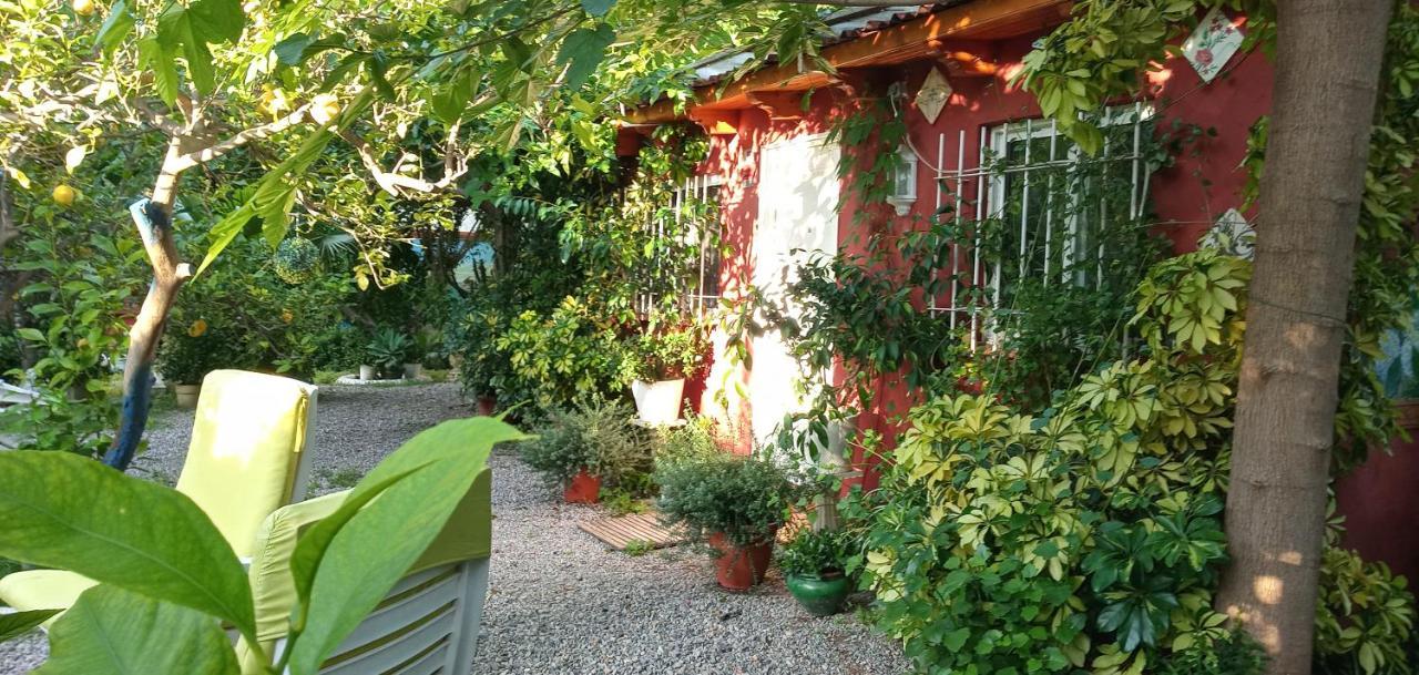 Casa Con Jardin Frente Playa De Burriana Villa Екстериор снимка