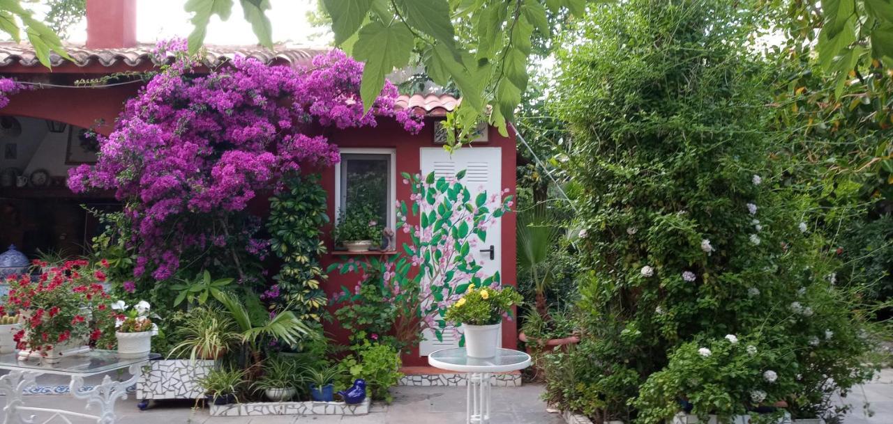 Casa Con Jardin Frente Playa De Burriana Villa Екстериор снимка