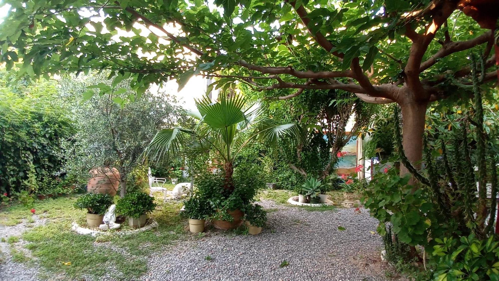 Casa Con Jardin Frente Playa De Burriana Villa Стая снимка