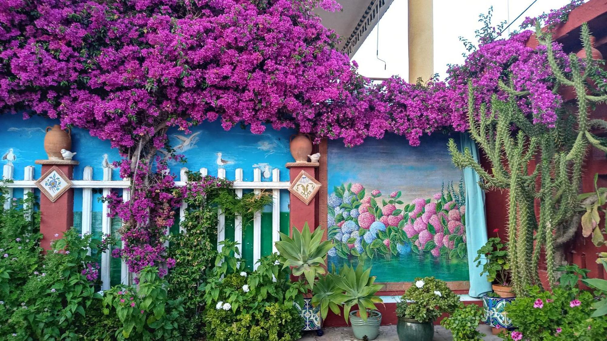 Casa Con Jardin Frente Playa De Burriana Villa Стая снимка
