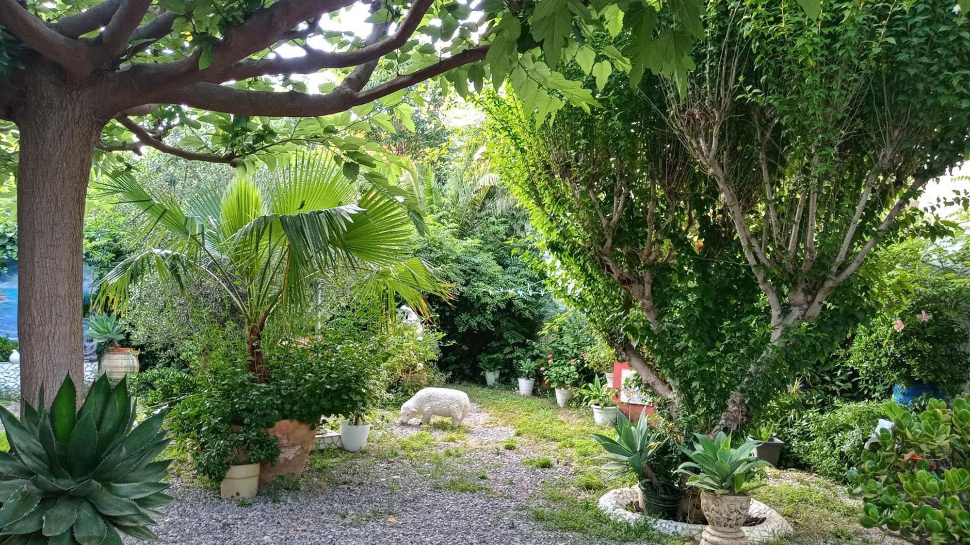 Casa Con Jardin Frente Playa De Burriana Villa Стая снимка