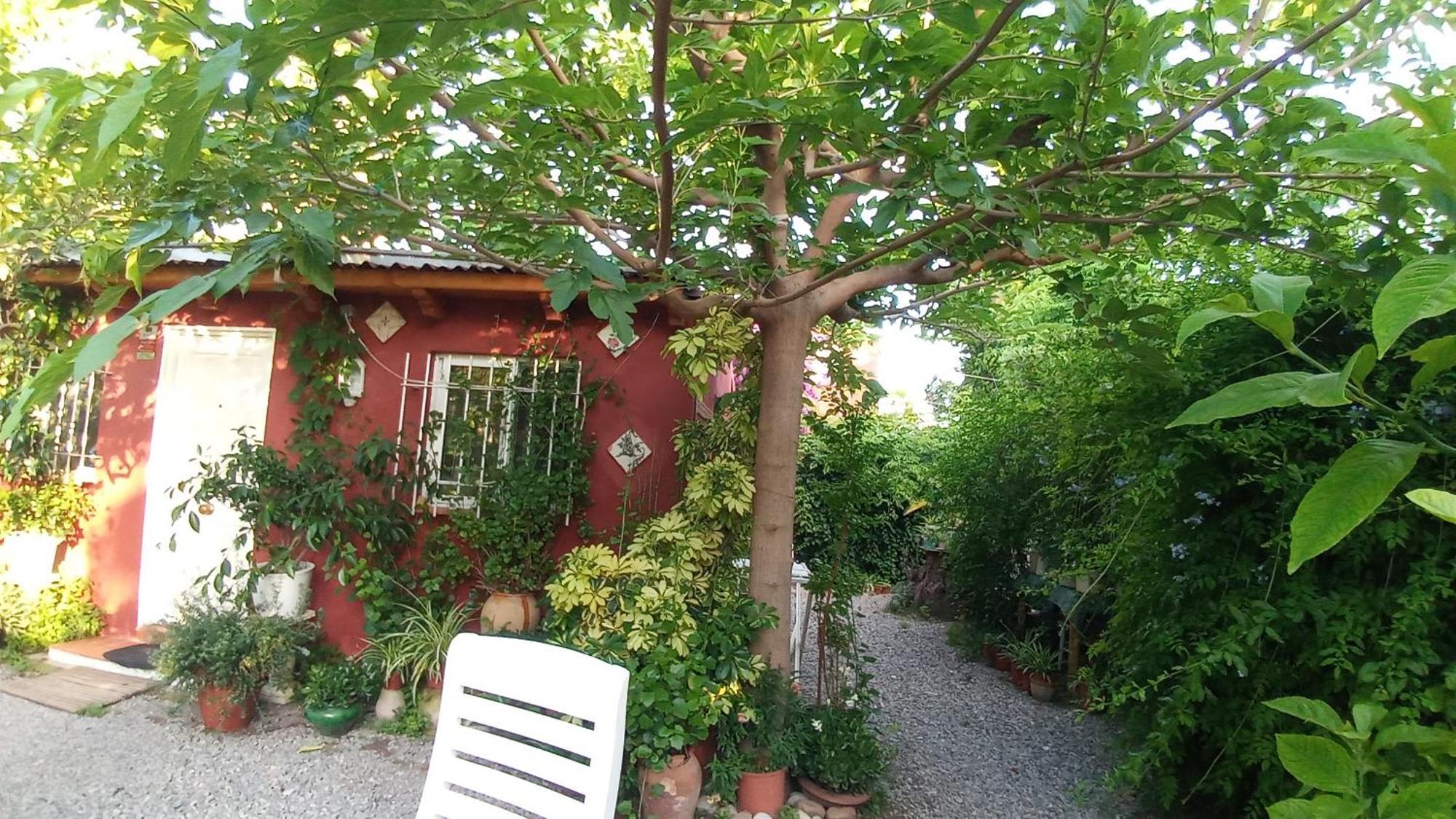 Casa Con Jardin Frente Playa De Burriana Villa Стая снимка