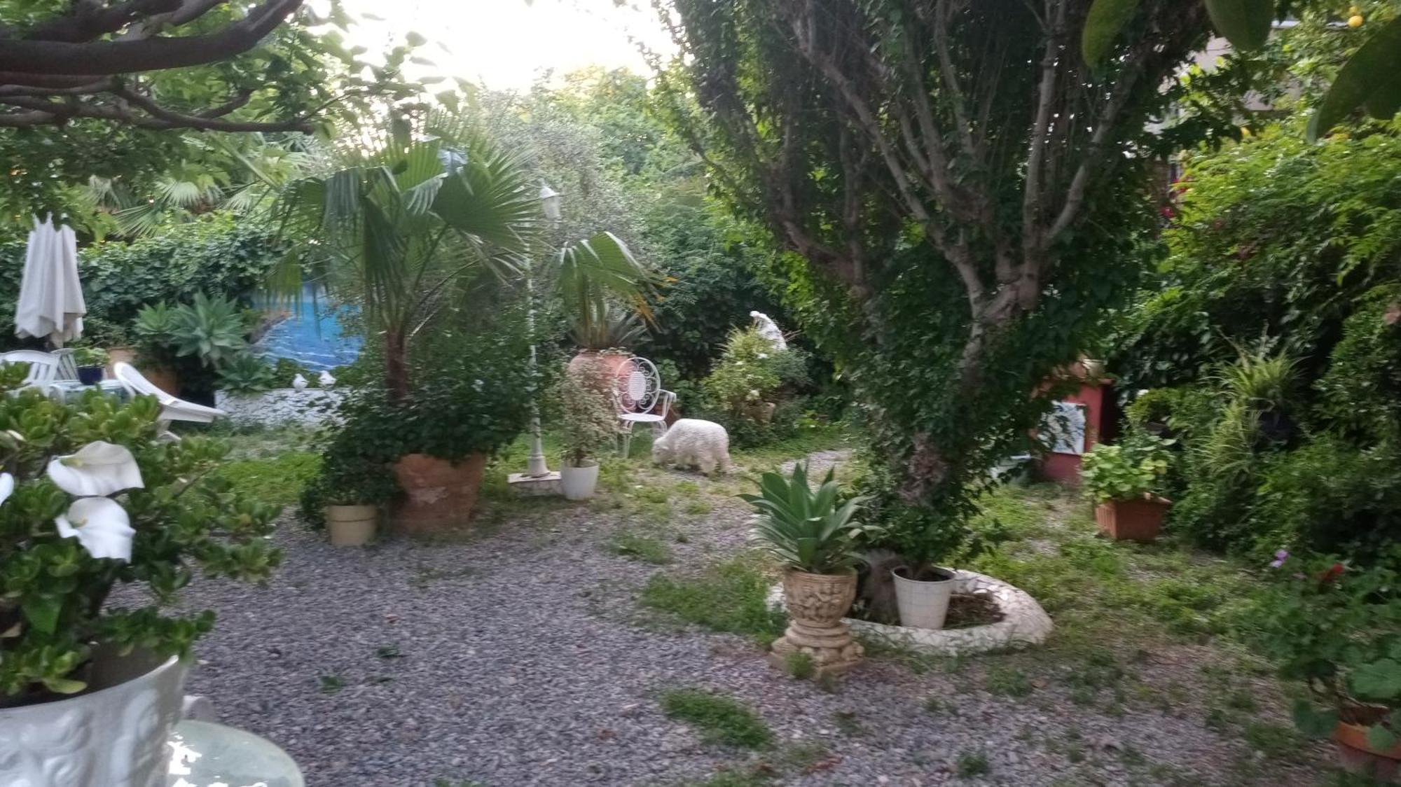 Casa Con Jardin Frente Playa De Burriana Villa Стая снимка