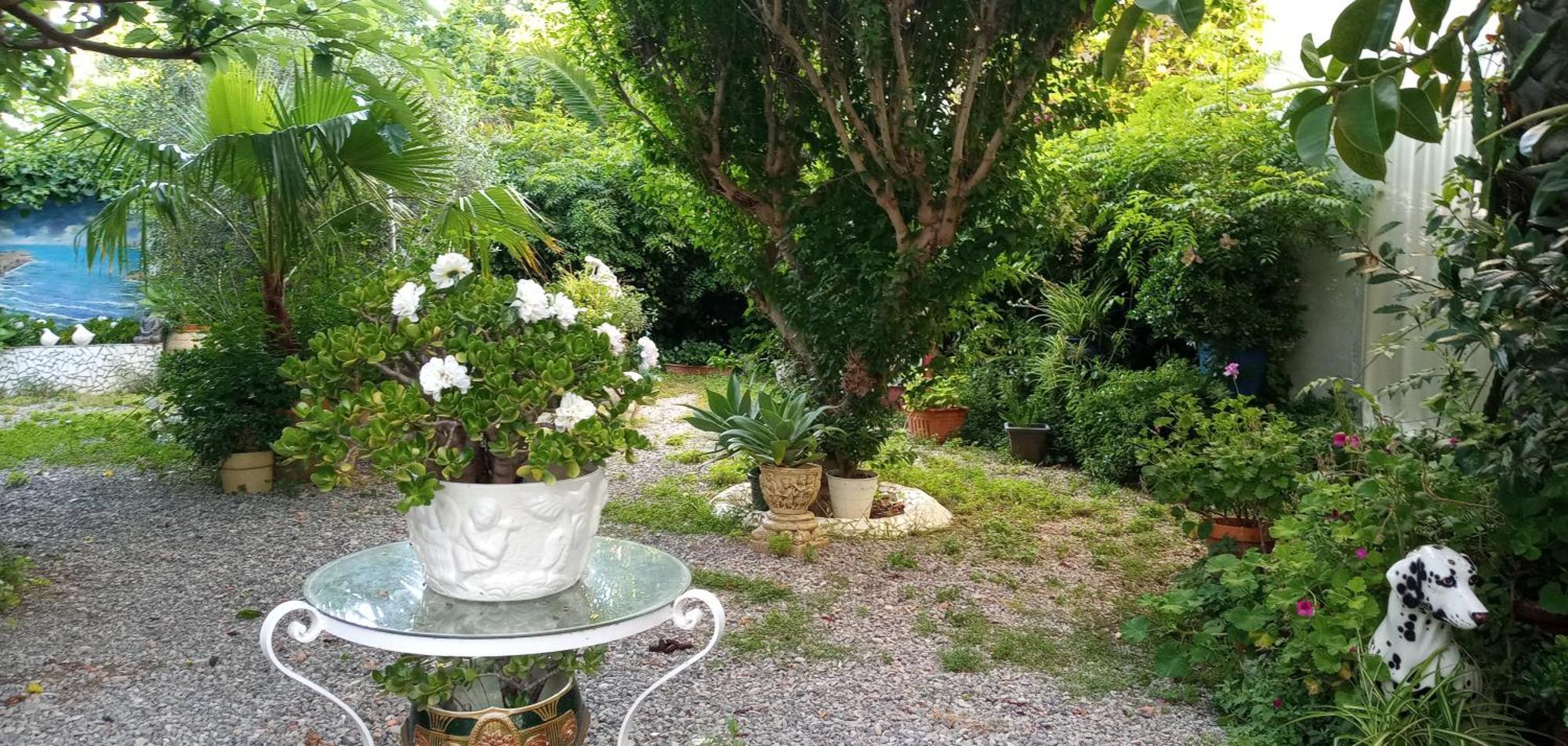 Casa Con Jardin Frente Playa De Burriana Villa Стая снимка