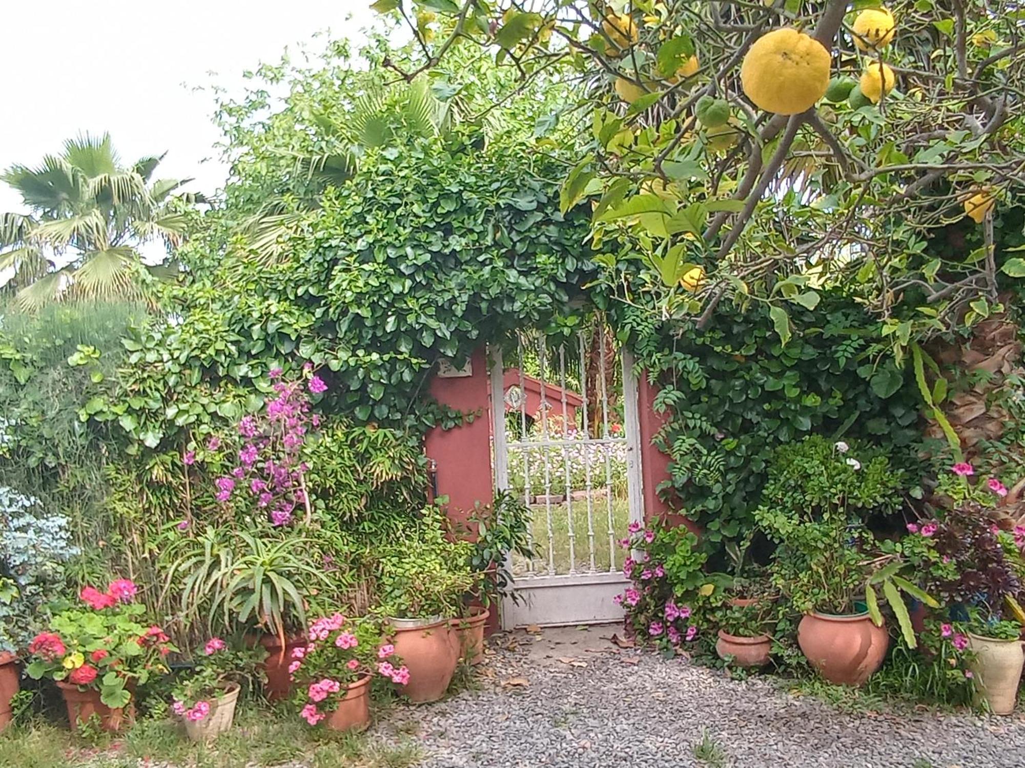 Casa Con Jardin Frente Playa De Burriana Villa Стая снимка