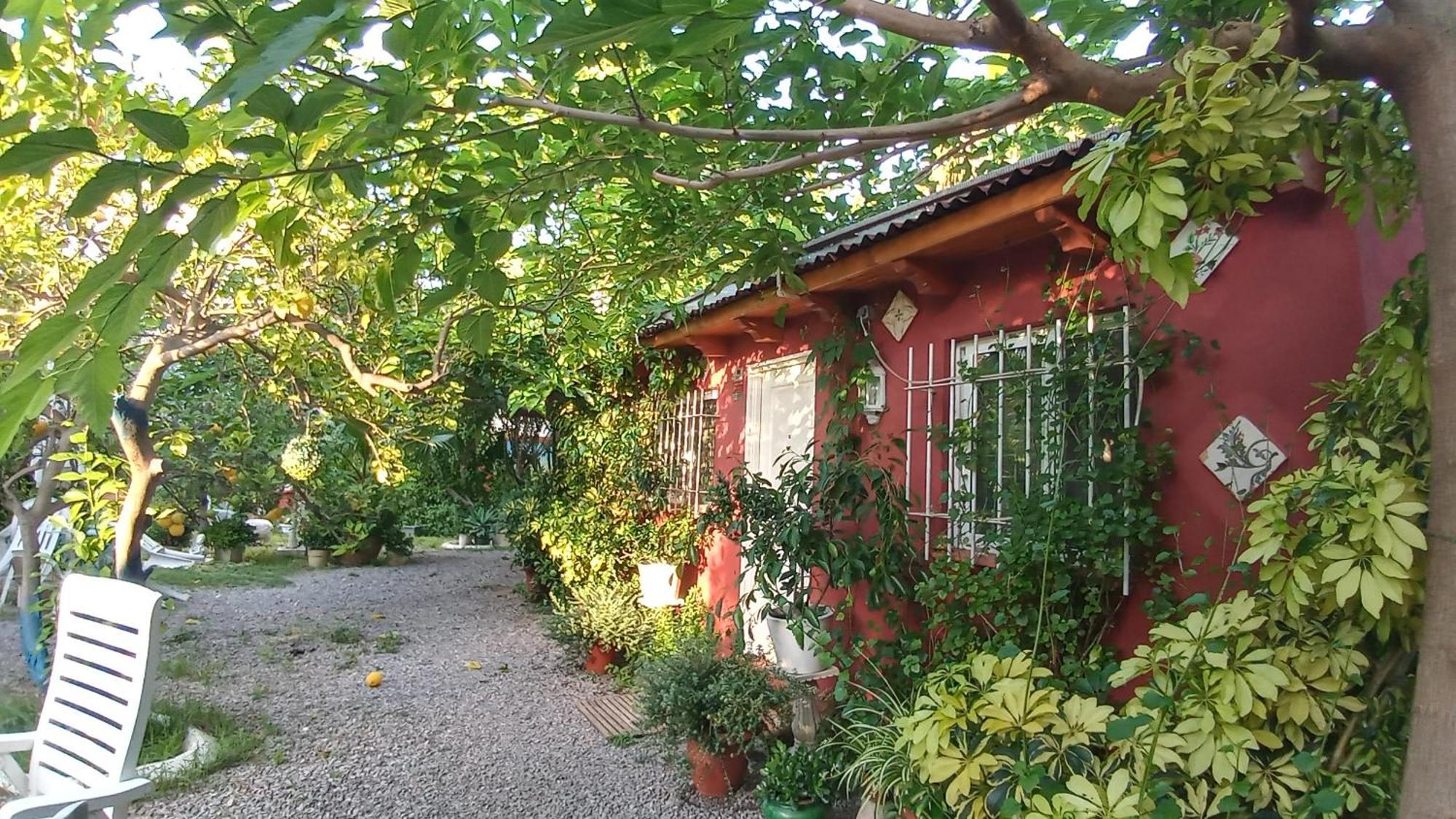 Casa Con Jardin Frente Playa De Burriana Villa Стая снимка