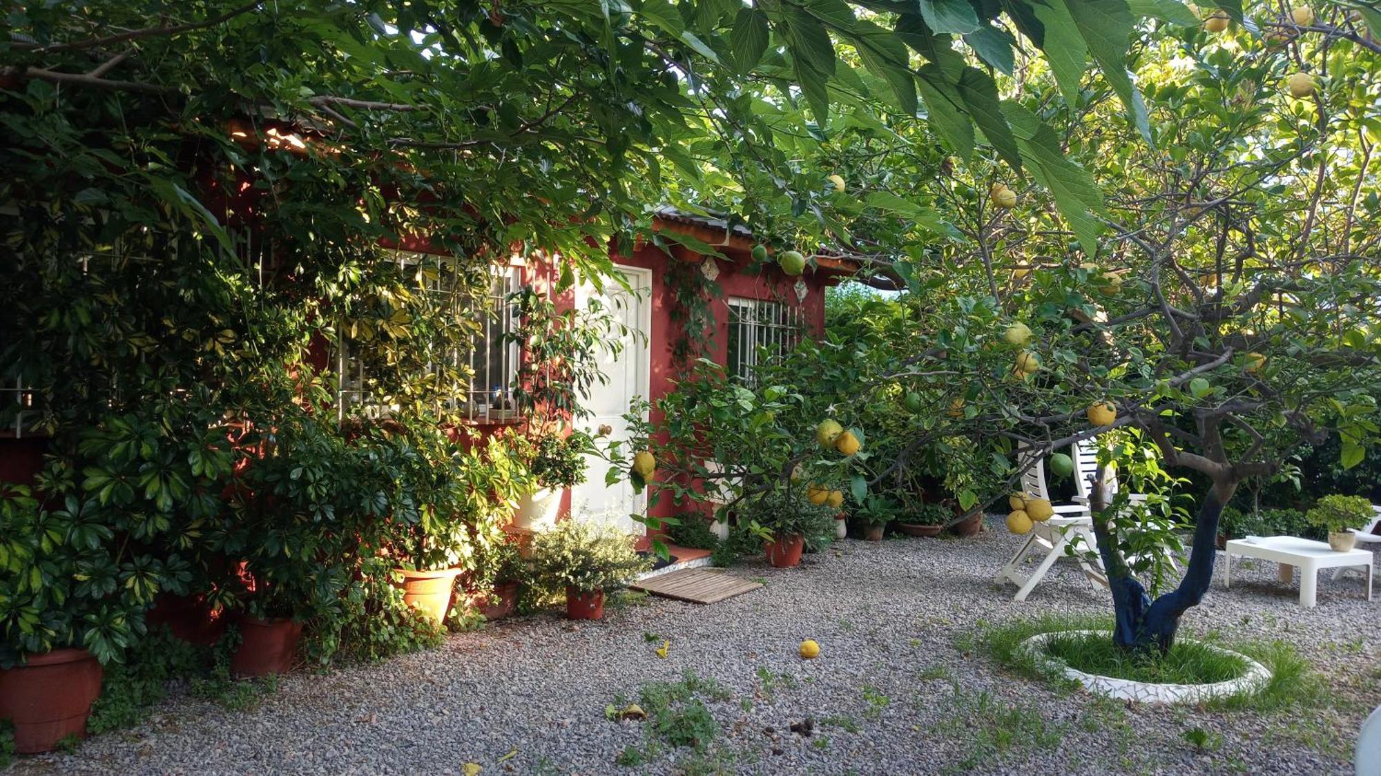 Casa Con Jardin Frente Playa De Burriana Villa Стая снимка