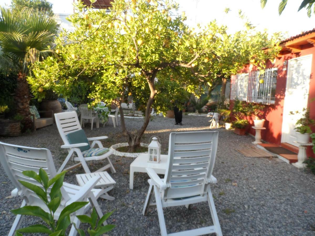 Casa Con Jardin Frente Playa De Burriana Villa Екстериор снимка